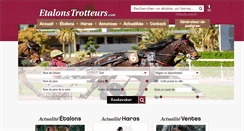 Desktop Screenshot of etalonstrotteurs.com